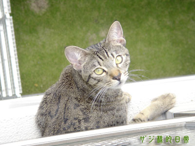 a0001964_20154460.jpg