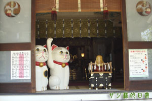 a0001964_21253929.jpg