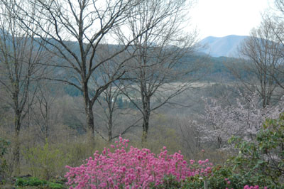 c0050264_13311428.jpg