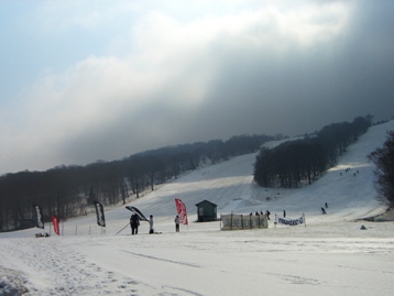 d0071269_1652168.jpg