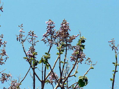 f0086169_23192290.jpg