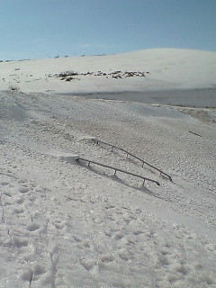 e0039871_22273470.jpg