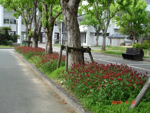 f0003174_13502015.jpg
