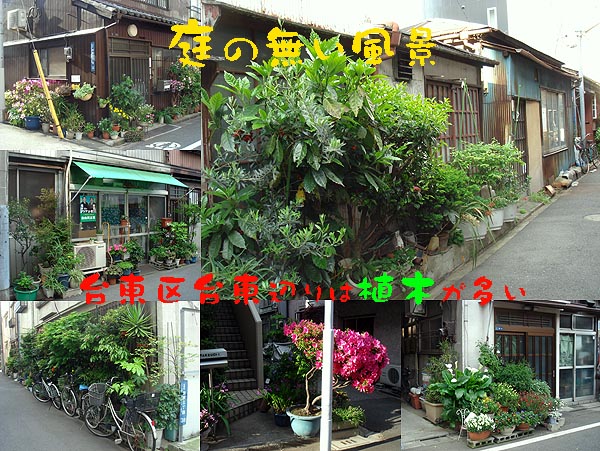 b0091575_8315255.jpg