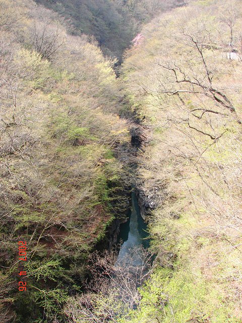 f0104277_6233978.jpg