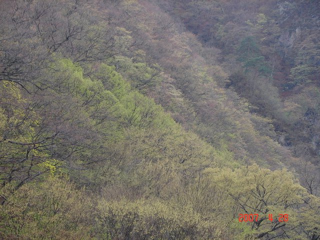 f0104277_6245936.jpg
