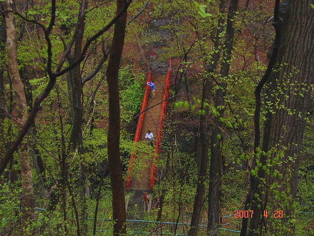 f0104277_6372164.jpg