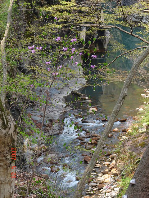 f0104277_639313.jpg