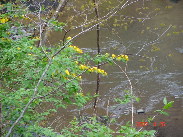 f0104277_6393423.jpg