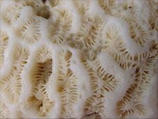 e0049286_13503874.jpg