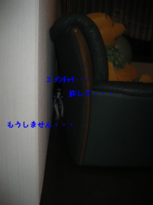 c0092787_9321259.jpg