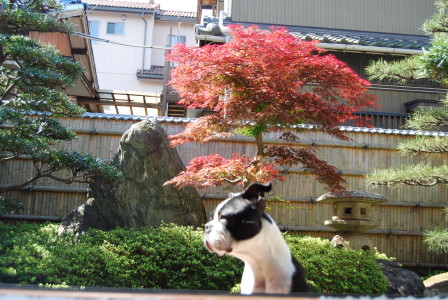 c0092787_939342.jpg