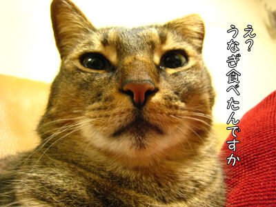 a0045990_034180.jpg