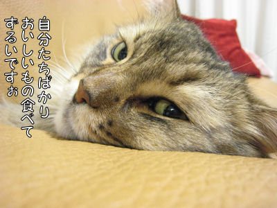 a0045990_0344165.jpg