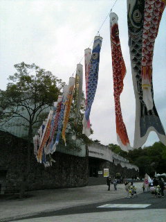 f0024291_11212244.jpg
