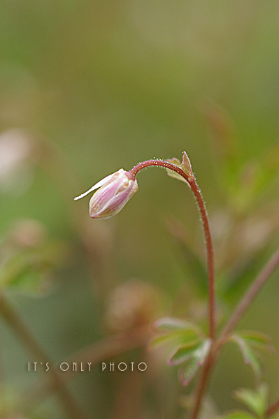 e0008800_0234832.jpg