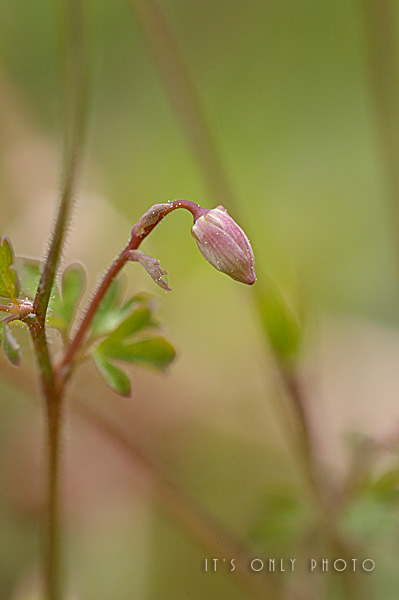 e0008800_0252049.jpg