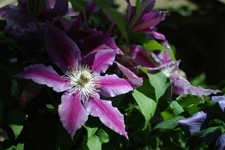 f0002701_7111569.jpg