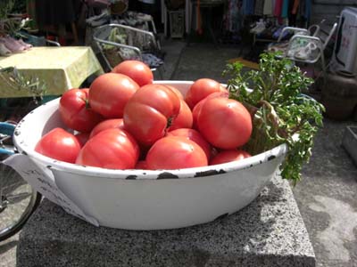 e0031202_1581382.jpg