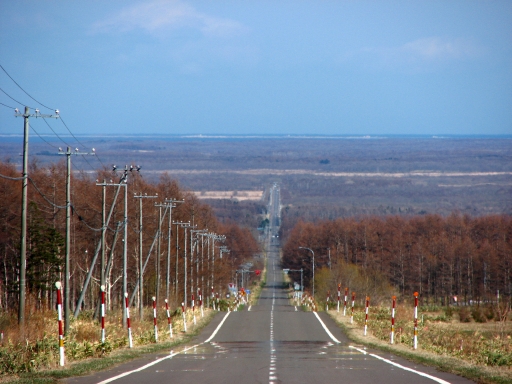 f0020302_2052984.jpg