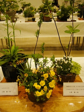 f0065604_0145039.jpg