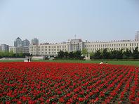 a0096105_23181429.jpg