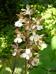 e0099905_21472329.jpg