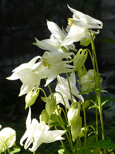 e0099905_2241028.jpg