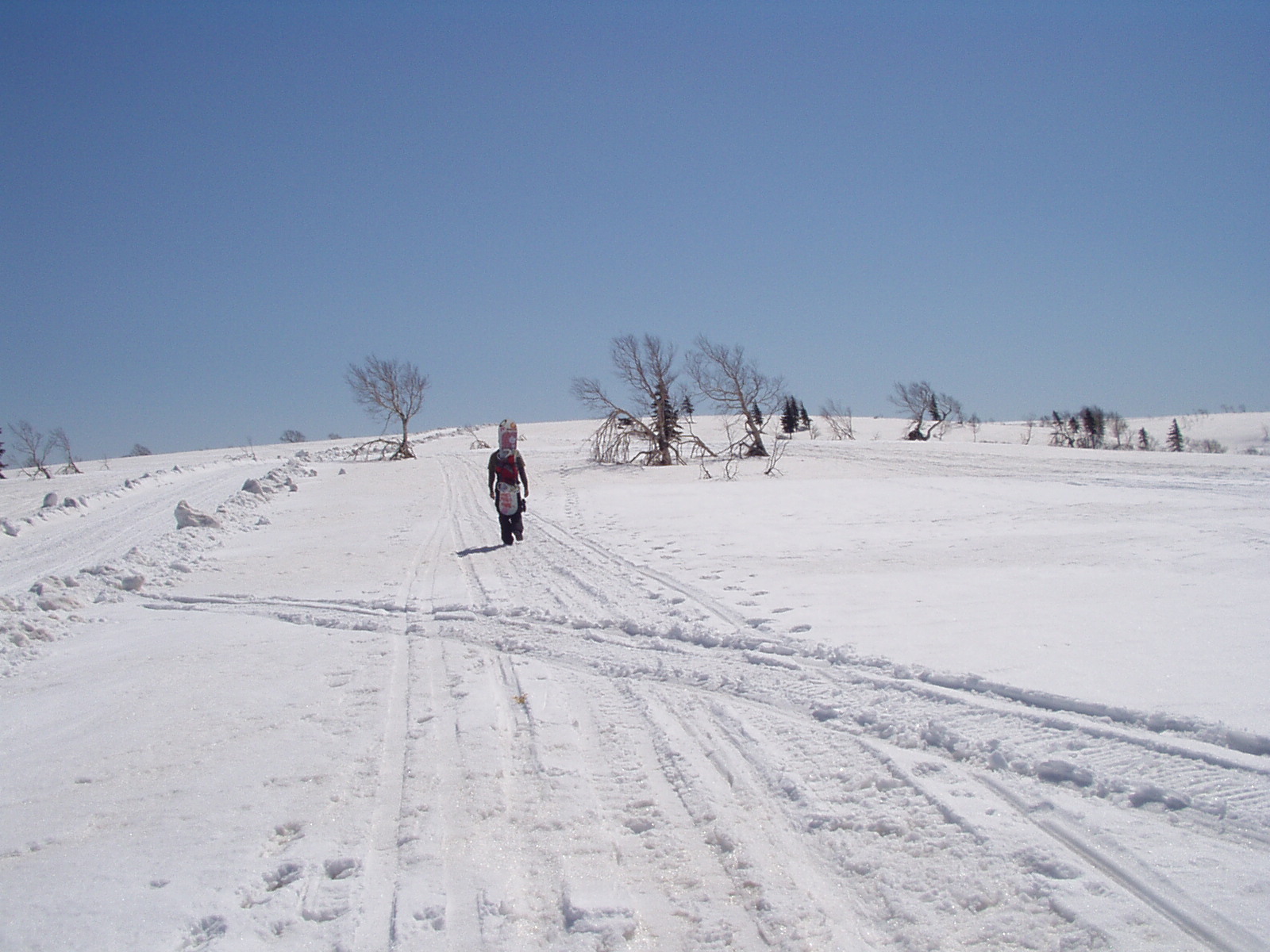 a0100206_1226376.jpg