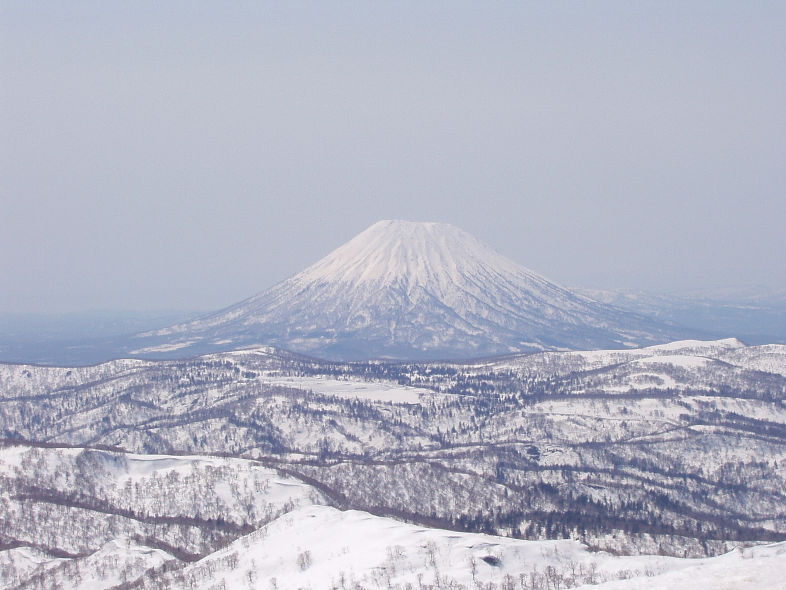 a0100206_12294876.jpg
