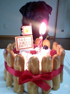 a0074110_0501010.jpg