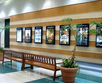 e0099212_20391932.jpg