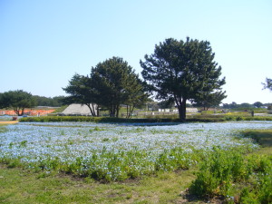 f0083013_1224349.jpg