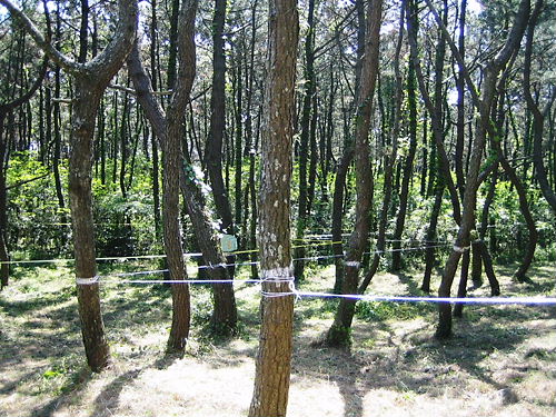 f0063216_17232499.jpg