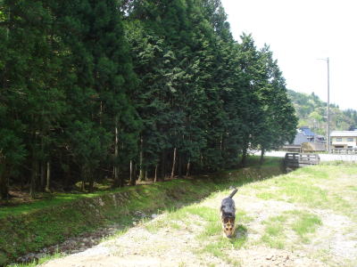 c0090220_14133164.jpg