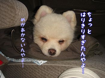 c0087521_2157523.jpg