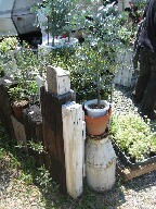 f0079722_2326238.jpg