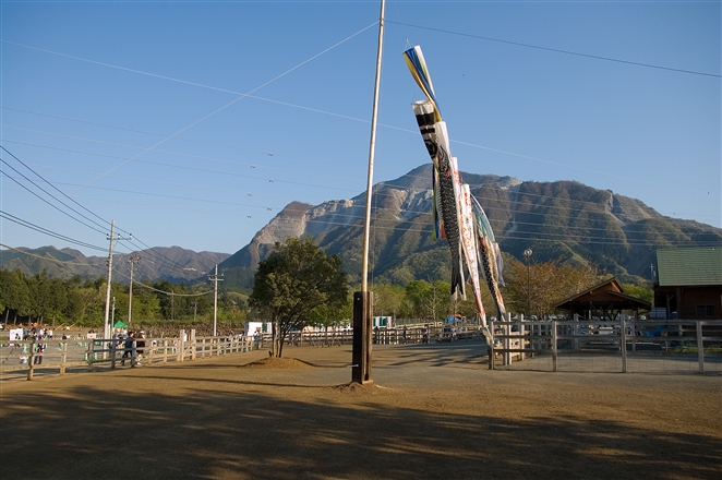 f0040525_21551469.jpg