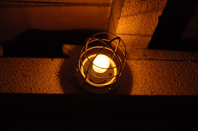 e0064128_1143136.jpg