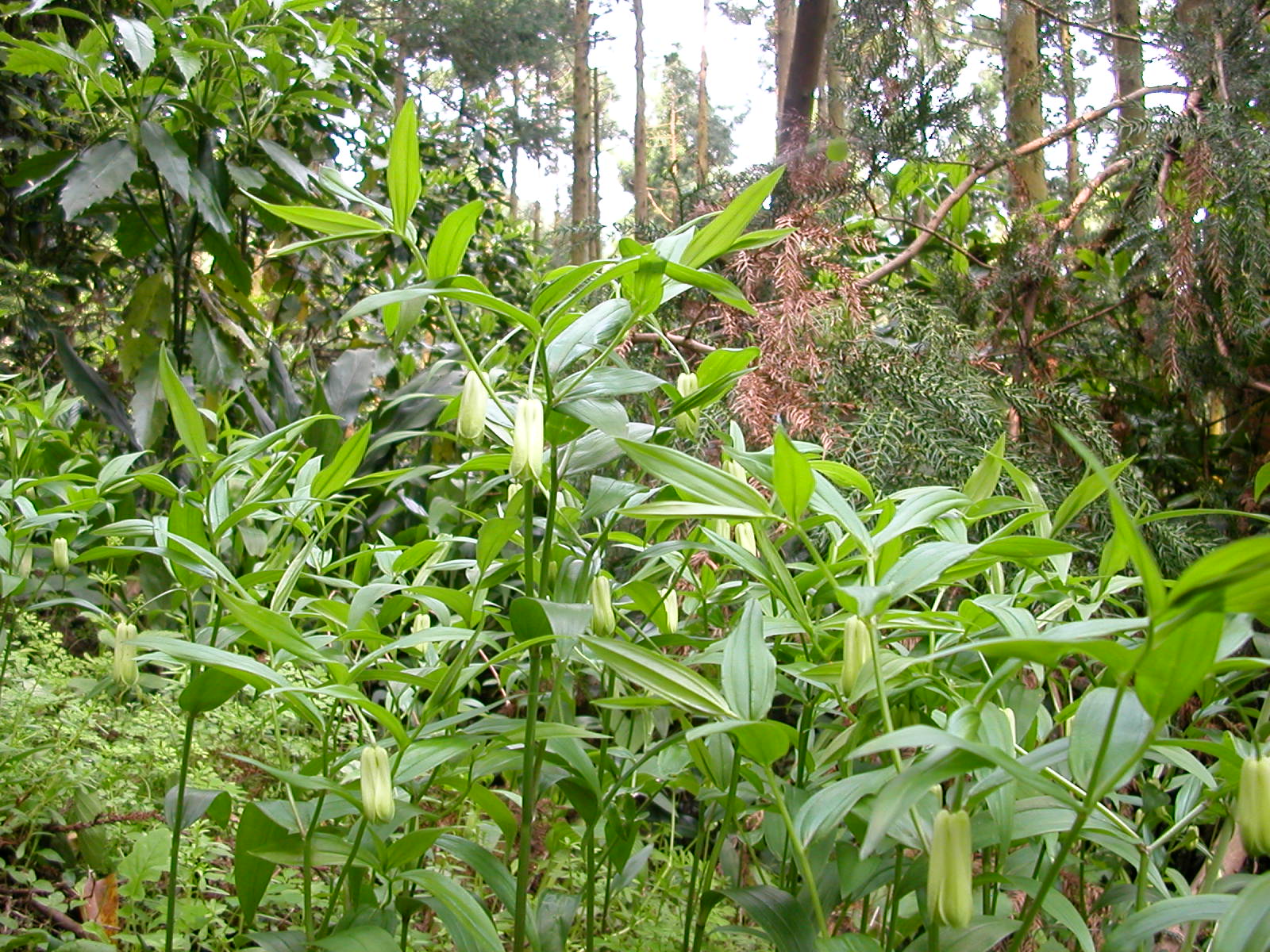 e0033229_2239432.jpg