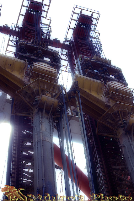 d0004832_832213.jpg