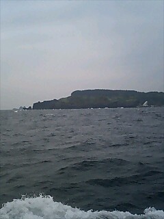 f0118332_19521390.jpg