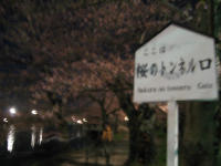 f0011734_15385499.jpg