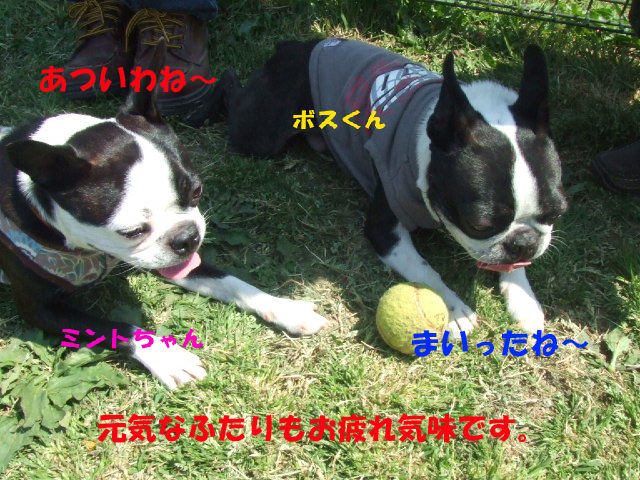 f0059334_10445690.jpg