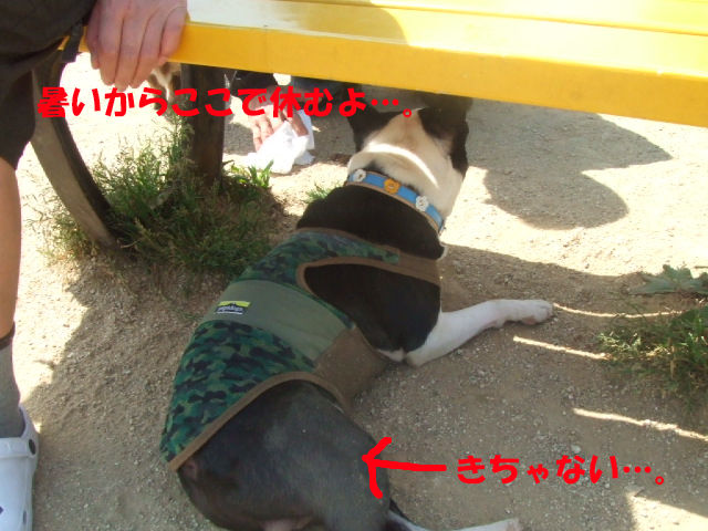 f0059334_1050038.jpg