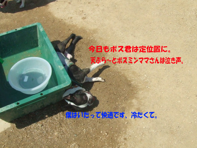 f0059334_10503542.jpg