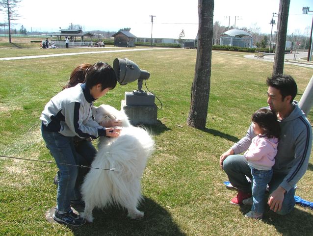 a0057237_17104451.jpg