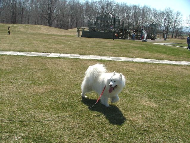 a0057237_17142367.jpg