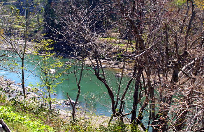 e0072638_13342150.jpg