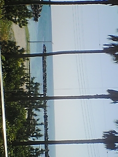 f0021041_2151823.jpg